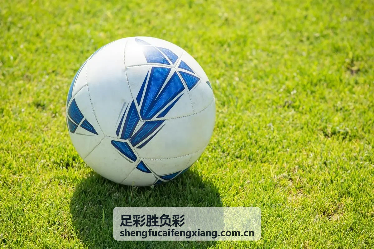 胜负彩冷门预警数据分析 - 足彩胜负彩
