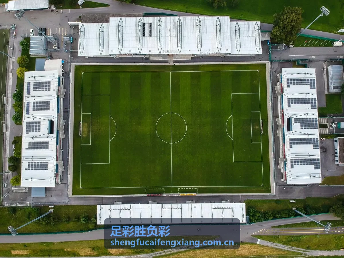 历史交锋数据挖掘实战 - 足彩胜负彩